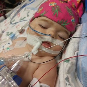 Team Page: ~*~ Caring for Cora ~*~